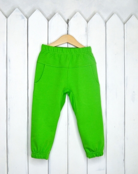 Брюки (цвет средний зелёный) | Артикул: П61/2-Ф | Детская одежда от «Бэби-Бум»
