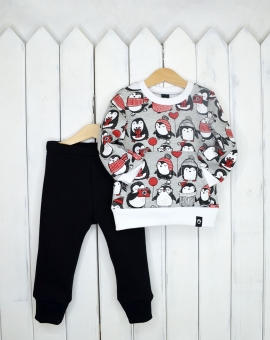 Комплект (джемпер+брюки/пингвины) | Артикул: КД334/1-Ф | Детская одежда оптом от «Бэби-Бум»