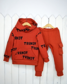 Комплект детский (Trendy/терра) | Артикул: КД342/2-Ф | Детская одежда оптом от «Бэби-Бум»