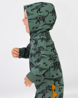 Комбинезон (динозавры на зелёном) | Артикул: К244/4-Ф | Детская одежда оптом от «Бэби-Бум»
